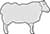 Main Image Standing Ewe