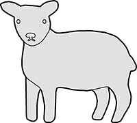 Lamb Standing Main Image