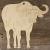 Image TH Buffalo Standing Front