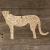 Image TH Standing Cheetah Side