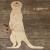 Image TH Meerkat Standing