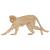 Main Image White No Hole Image Vervet Monkey Walking