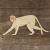 Main Image Vervet Monkey Walking