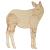 Main Image White No Hole Image Okapi Standing