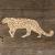 Image TH Snow Leopard Standing