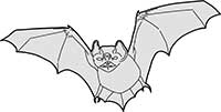 Horseshoe Bat Main Image