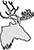Plain Image Deer Stag Head