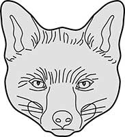 Fox Face Front On Main Image