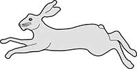 Hare Running Main Image