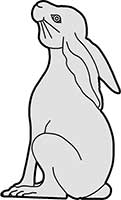 Hare Sitting Main Image