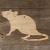 Image TH Rat Curly Tail Rat Side on Looking Up
