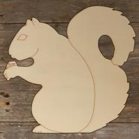Squirrel Eating a Nut Main Image