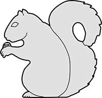 Squirrel Eating a Nut Main Image