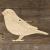 Image TH Bullfinch Standing