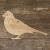 Image TH Chaffinch Standing