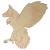 Main Image White No Hole Image Hawk Kestrel Pouncing