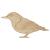 Main Image White No Hole Image Nuthatch Standing
