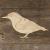 Image TH Nuthatch Standing