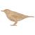 Main Image White No Hole Image Thrush Bird Perched