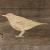 Main Image Thrush Bird Perched