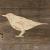 Image TH Thrush Bird Perched
