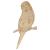 Main Image White No Hole Image Budgerigar Perching on a Twig