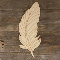 Feathers with Detail Main Image
