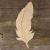 Main Image Feathers with Detail