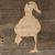 Image TH Duck Walking