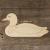 Main Image Male Mallard Duck Swimming