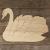 Main Image Mute Swan Swimming