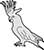 Cockatoo Sulphur Crested Perching