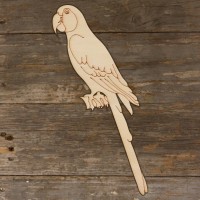 Parrot Macaw Perching Main Image