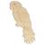 Main Image White No Hole Image Parrot Perching