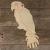 Image TH Parrot Perching