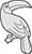 Main Image Toucan Perching