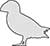 Plain Image Puffin Standing Seabird