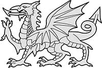 Y Ddraig Goch The Red Dragon Welsh National Flag Emblem Main Image