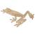 Main Image White No Hole Image Frog Red Eyed Tree