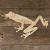 Main Image Red Eyed Tree Frog
