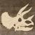 Image TH Triceratops Skeleton Head