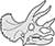 Triceratops Skeleton Head