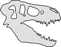 T-Rex Skeleton Head Main Image