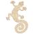 Main Image White No Hole Image Gecko with a Curly Tail