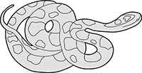 Snake Corn Curled Main Image