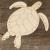 Main Image Green Sea Turtle
