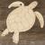 Image TH Green Sea Turtle