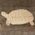 Image TH Tortoise Hermann Standing