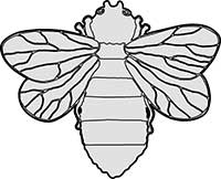 Bee with a Simple Design Main Image