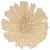 Main Image White No Hole Image Aster Flower Head